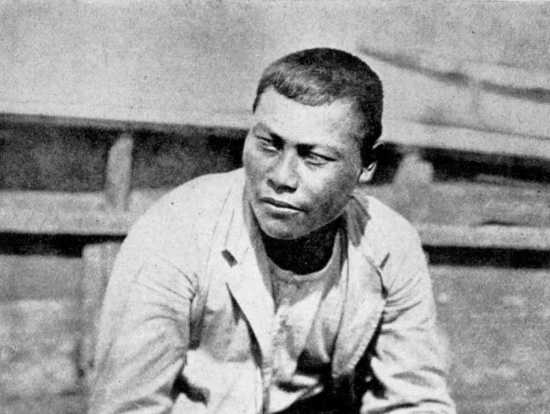 Crafting Culture: Trees at the Heart of&nbsp;Tradition